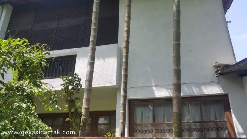 3 Bed Room House for Sale at Nawala - Colombo