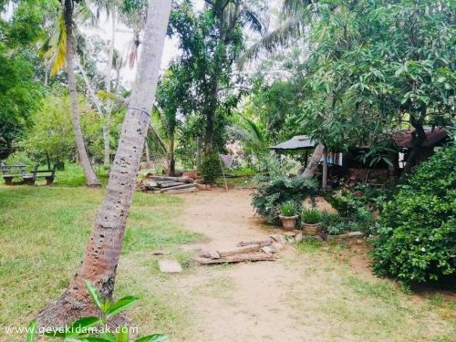 Bare Land for Sale at Anuradhapura - Anuradhapura Sri Lanka