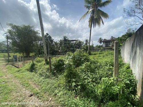 Bare Land for Sale at Homagama - Colombo