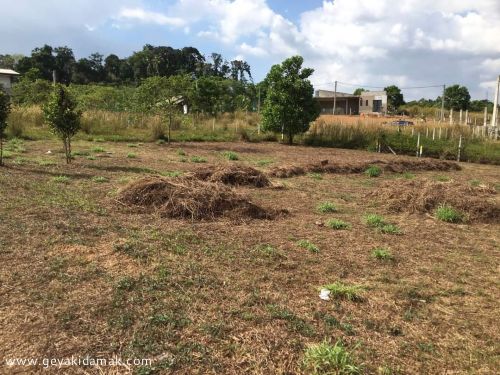 Bare Land for Sale at Kahathuduwa - Colombo Sri Lanka