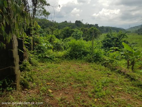 Bare Land for Sale at Kaluaggala - Colombo Sri Lanka