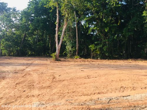 Bare Land for Sale at Hikkaduwa - Galle