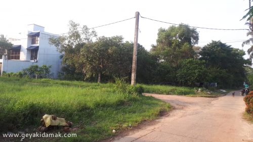 Bare Land for Sale at Ekala - Gampaha