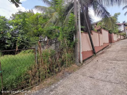 Bare Land for Sale at Ganemulla - Gampaha Sri Lanka