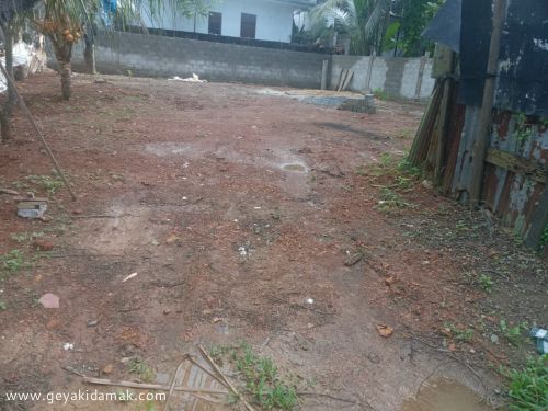 Coconut Land (Estate) for Sale at Kadawatha - Gampaha