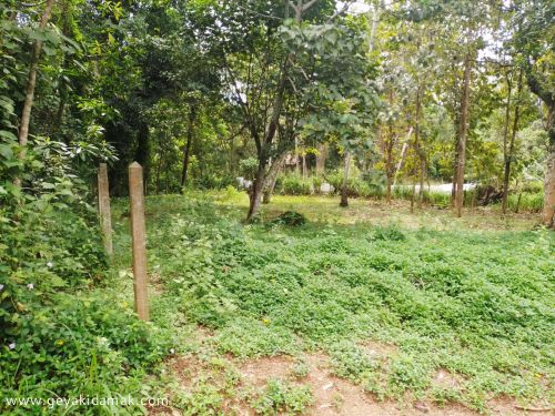 Bare Land for Sale at Kotugoda - Gampaha