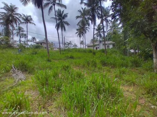 Coconut Land (Estate) for Sale at Nittambuwa - Gampaha