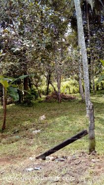 Commercial Land for Sale at Yakkala - Gampaha