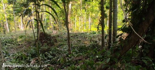 Agricultural Land for Sale at Kitulgala - Kegalle