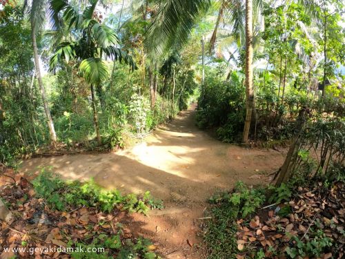 Bare Land for Sale at Nelundeniya - Kegalle Sri Lanka