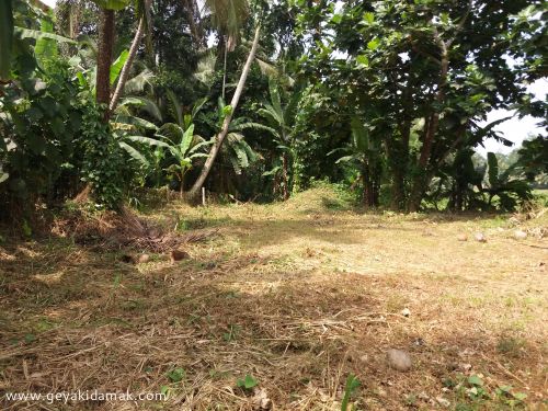 Bare Land for Sale at Telijjawila - Matara Sri Lanka